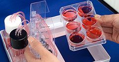 PCME-System Standard 6er-Mikrotiterplatte PCME-System Standard 6er-Mikrotiterplatte