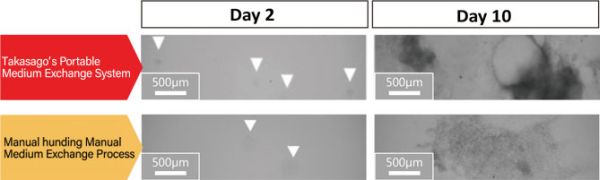 PCME-System - Embryoid bodies (EB) of mouse iPS cells PCME-System - Embryoid bodies (EB) of mouse iPS cells